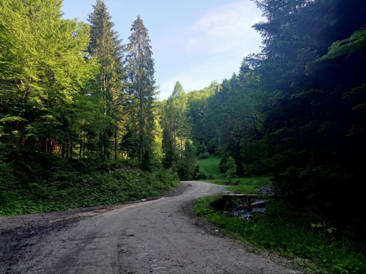 Dom W Gorach Przy Szlaku Villa Bystra  Bagian luar foto