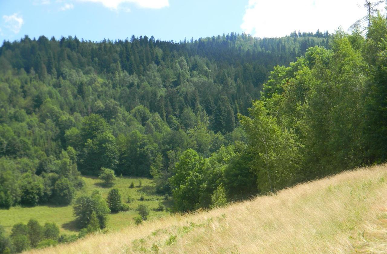 Dom W Gorach Przy Szlaku Villa Bystra  Bagian luar foto