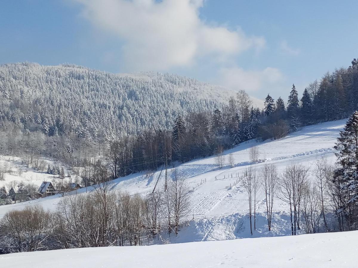 Dom W Gorach Przy Szlaku Villa Bystra  Bagian luar foto