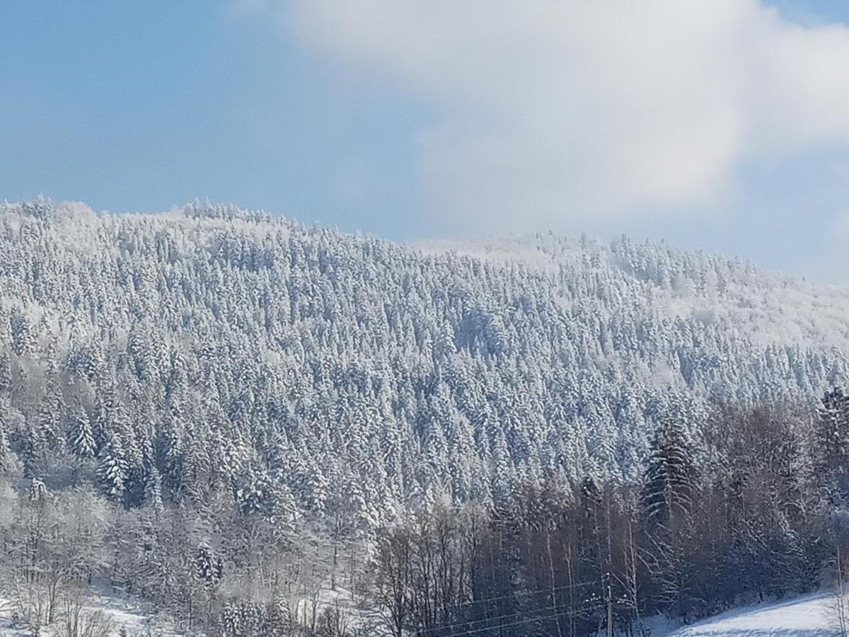 Dom W Gorach Przy Szlaku Villa Bystra  Bagian luar foto