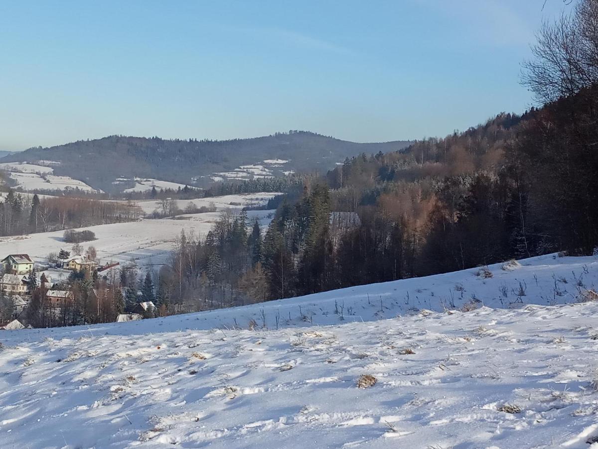 Dom W Gorach Przy Szlaku Villa Bystra  Bagian luar foto