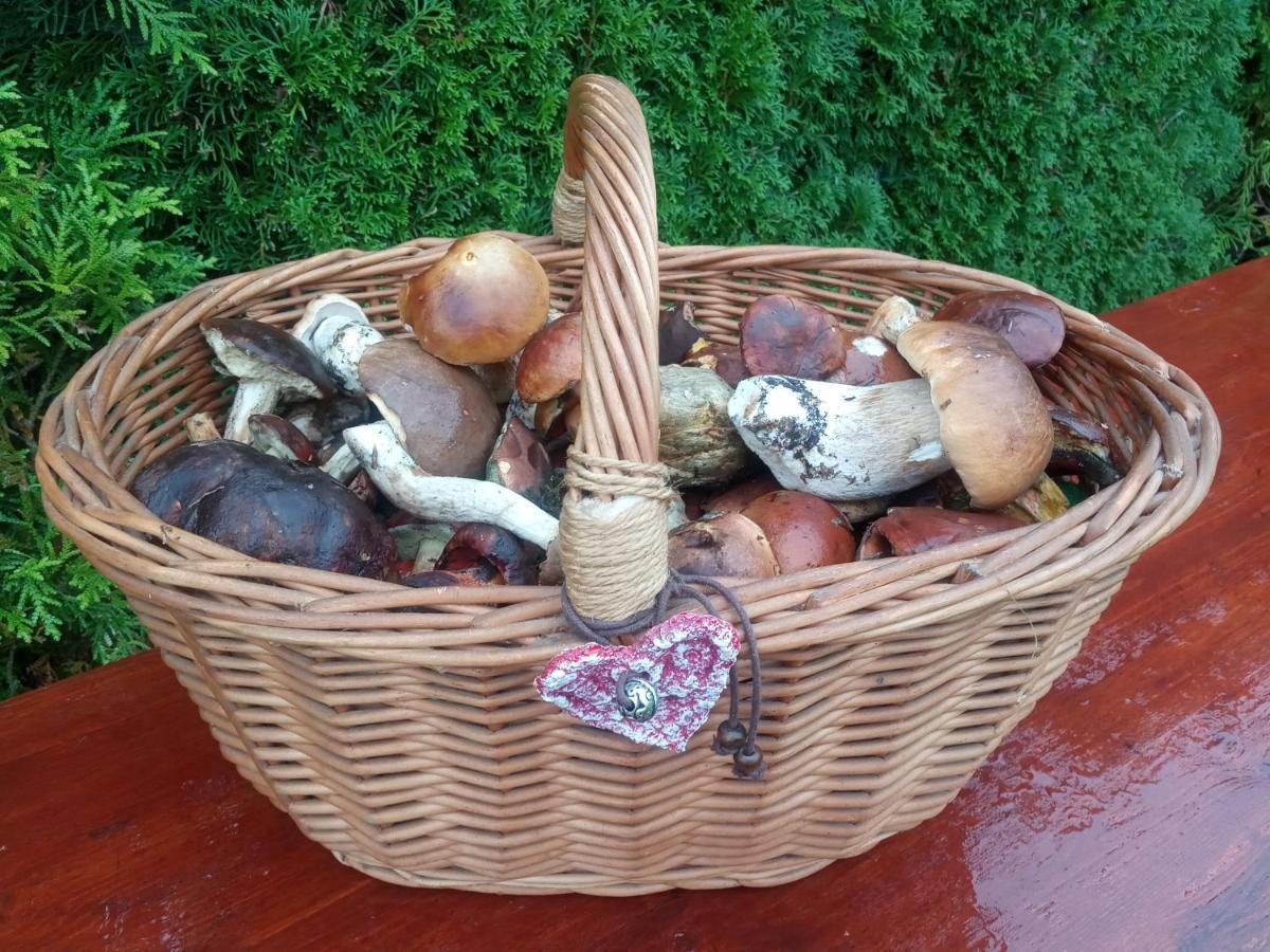 Dom W Gorach Przy Szlaku Villa Bystra  Bagian luar foto